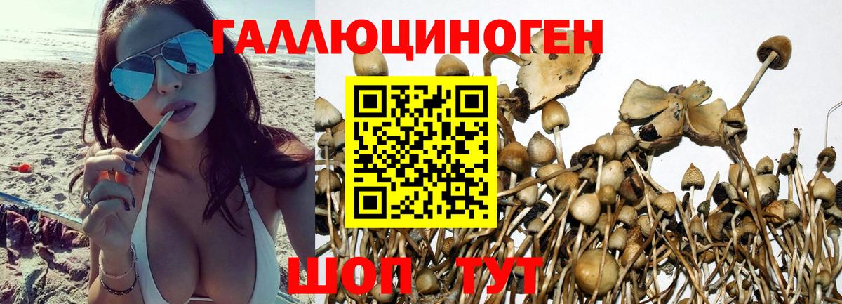 Бошки Шишки  ТГК  МДМА  Меф МЯУ МЯУ   Вход с VPN  Котовск  ГАШ  Cocaine 