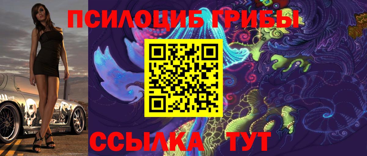 дарнет шоп  Вход с VPN  Котовск  Галлюциногенные грибы прущие грибы 